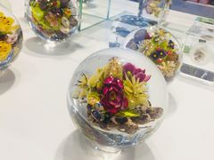 -康宁玻璃博物馆