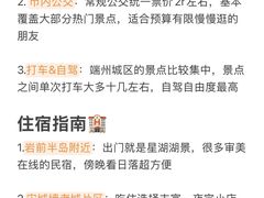 -鼎香皇高佬苏裹蒸粽