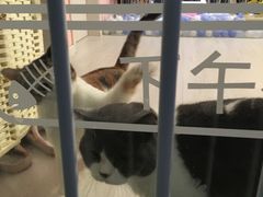 -上海宝诚尊悦宝马4S店(静安店)