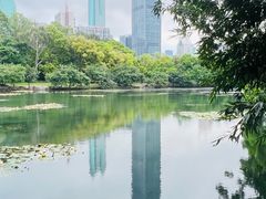 -荔枝公园(福田区)