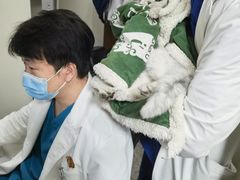 -美联众合动物医院·24h转诊中心