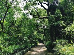 -法云古村