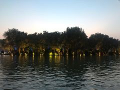 -天鹅湖体育公园