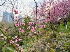 -重庆彩云湖湿地公园