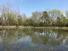 景点-溱湖国家湿地公园