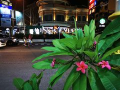 -Let's Relax Spa(Phuket 3rd Street)