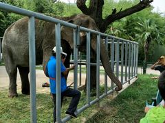 -西安秦岭野生动物园