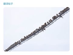 -帝京日语(春熙路旗舰校区)