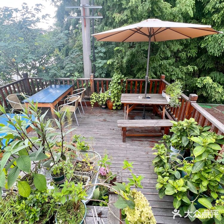 上海|三家郊区宝藏咖啡馆合集☕️☕️🍵🍽️🍰