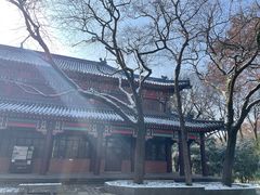 -灵谷景区