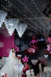 -豪门婚礼策划