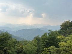 -莫干山风景区
