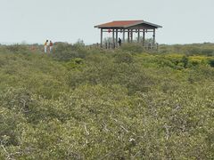 -北海金海湾红树林生态旅游区