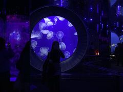 -成都浩海立方海洋公园