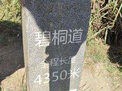 -梧桐山风景名胜区