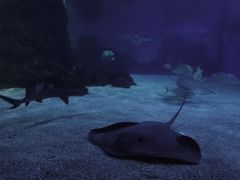-常州海昌海洋探索馆