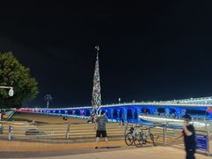 -演武大桥观景平台