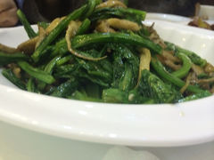 油麦菜-明泉特特(军工店)