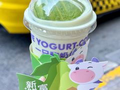 -一只酸奶牛(八一路店)