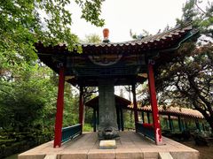 -高尔山公园