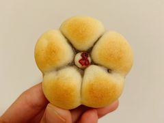 -吴记·吴酥生PASTRY宫廷酥饼