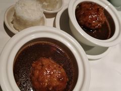 张氏狮子头-羲和雅苑•北京烤鸭(陆家嘴中心店)