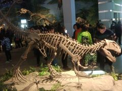 -自贡恐龙博物馆