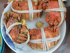 -阳澄湖大闸蟹·琼灵阁牌品牌连锁(吴中总店)