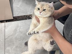 -爱侣宠医·鹦鹉专科·小型哺乳类·异宠专科(灵石路店)