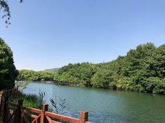 -白马涧龙池景区