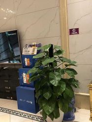 点击看大图 -伊丽莎白医疗美容