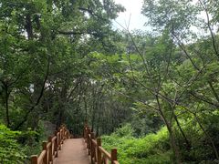 -大岭沟猕猴桃谷风景区