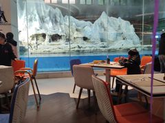 -帝企鹅自助餐厅•儿童岛•真企鹅(长隆企鹅酒店)