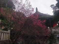 -乌山风景区