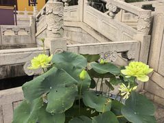 -阳澄湖半岛旅游度假区