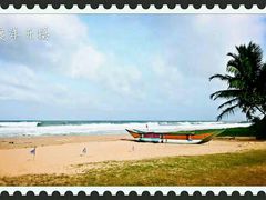 -Ministry of Crab(科伦坡店)