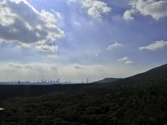 -灵谷景区