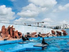 -上海海昌海洋公园