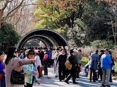 -人民公园-相亲角