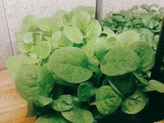 -番食园鲜食火锅(高新店)