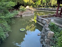 -上海千禧海鸥大酒店