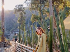 -MOJ coffee(瓯海泽雅水碓坑店)