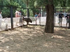 -长白岛森林公园