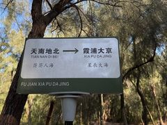 -大京沙滩