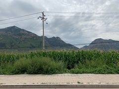 -小媳妇凉粉(浑源店)