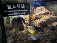 -太平洋海底世界