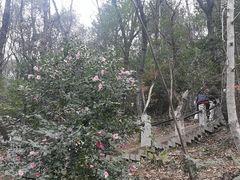-虞山风景区