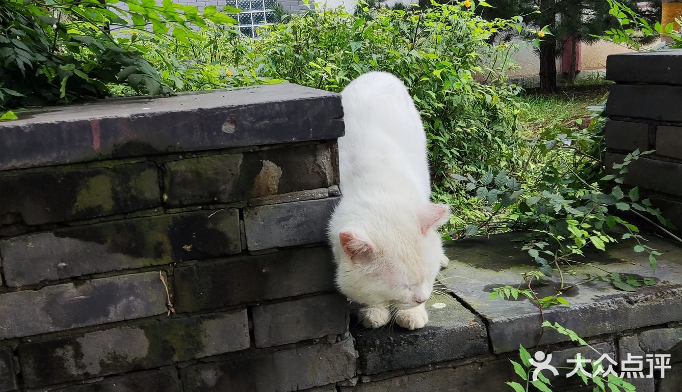 心疼