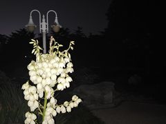 -济南南郊宾馆