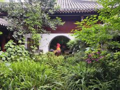 -铁山坪森林公园